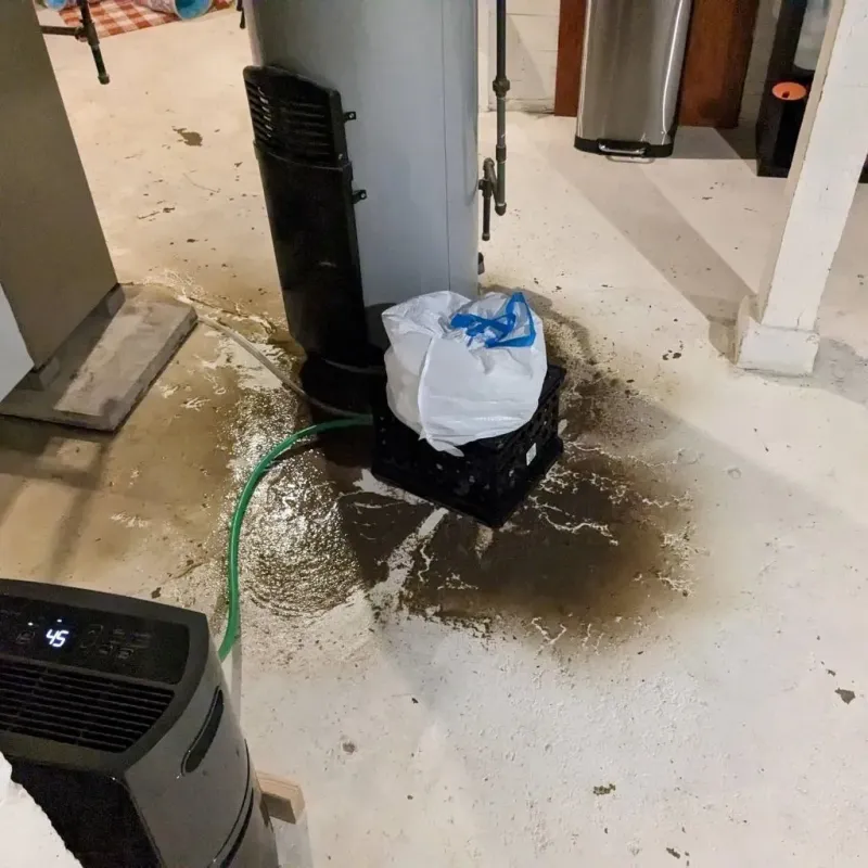 Sewage Backup Cleanup Service in Oakdale, CA